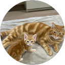 Carmen Hirst profile picture